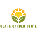 SOLARA_FullLogo_Transparent-1024x819